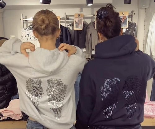 Subdued wings hoodie