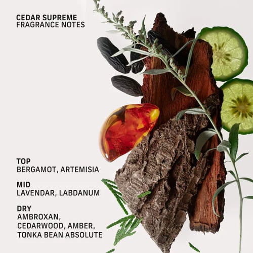 Cyklar roll-on perfume oil