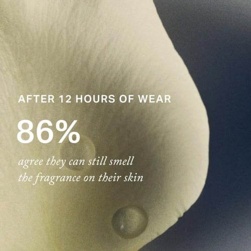 Merit Retrospect L'Extrait