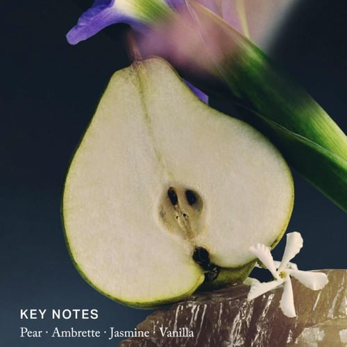 Merit Retrospect L'Extrait