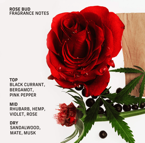 Cyklar roll-on perfume oil