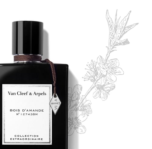 فان كليف بويس دايموند