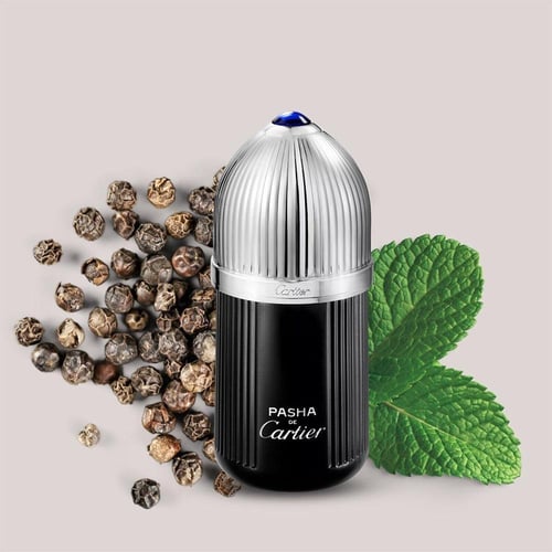 كارتير باشا ايديشن نوار