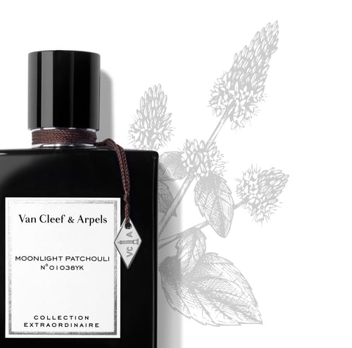 فان كليف مون لايت باتشولي