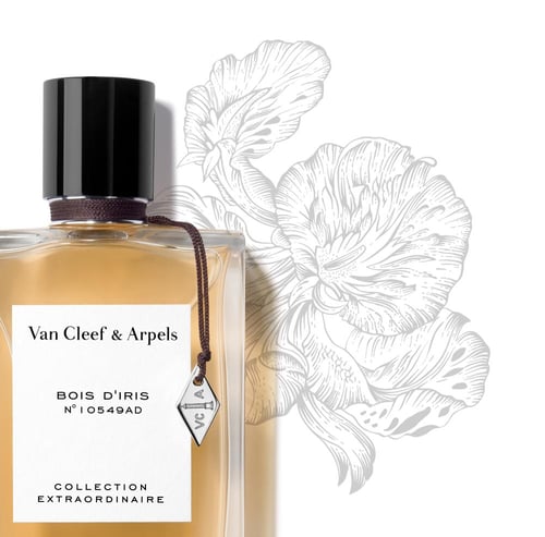 فان كليف بويز ديريز