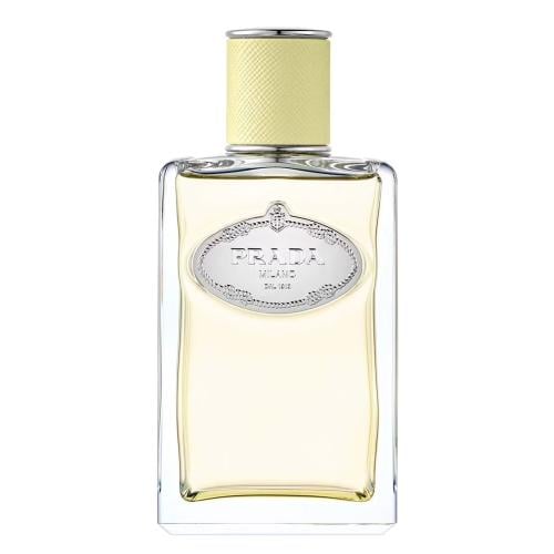 Prada Infusion de Ginger