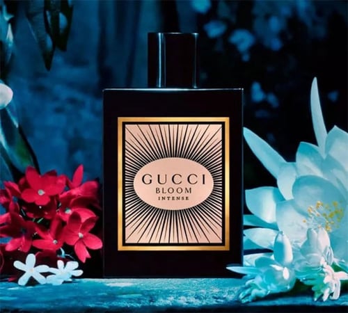 قوتشي بلوم انتنس