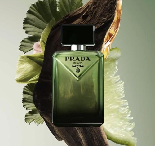 برادا باراديم او دو برفيوم