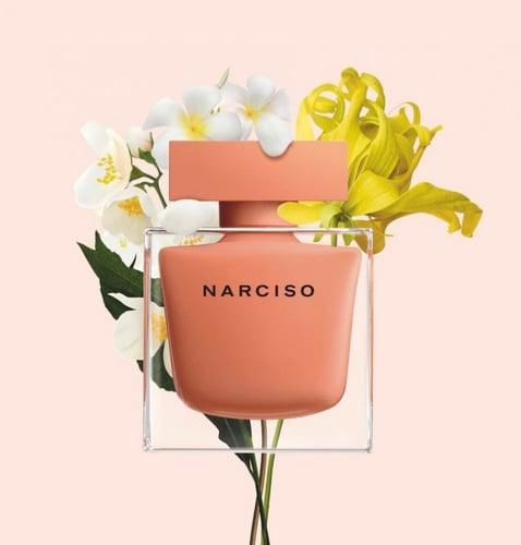 نارسيسو رودريغز عنبر ايدي بارفيوم