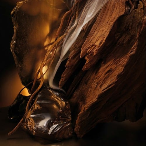 بوس بوتلد إلكسير بارفان إنتنس