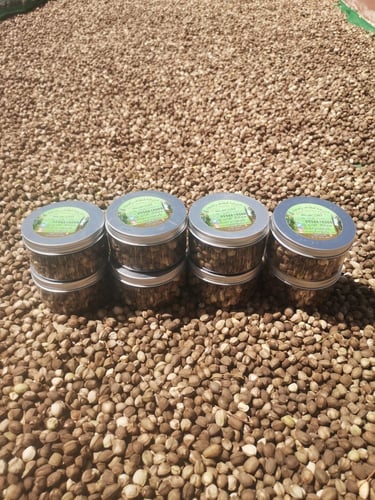 بذور شجرة البان العربي (البرقرينا ) اليسر 250 جرام