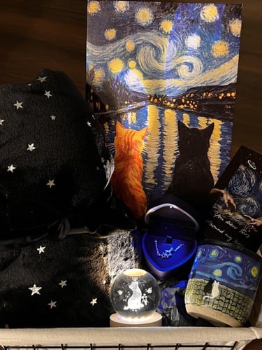 Starry Companions box