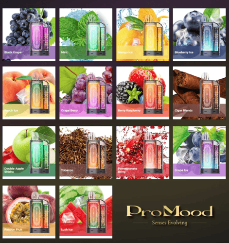 سحبة برو مود 10000 شفطة - ProMood 10000 Puffs