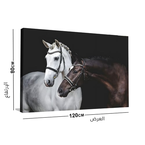 لوحة خيل بني وأبيض