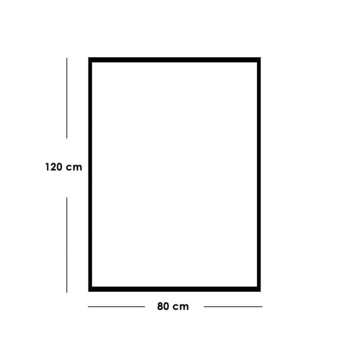 لوحات جدارية حصان