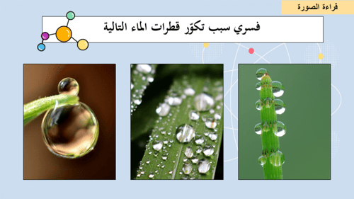 عرض بوربوينت درس القوى داخل السوائل (حصة واحدة)