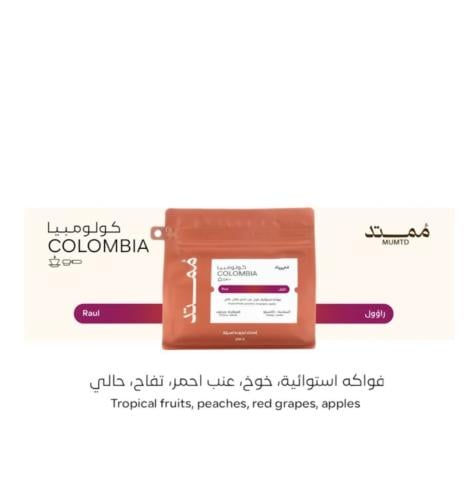 ممتد راؤول
