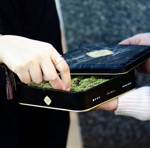 بيتفور المذاق العربي