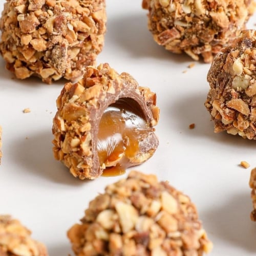 لافيرا ترافل