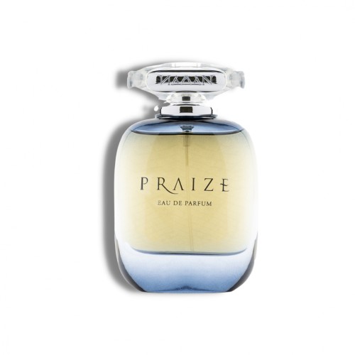 عطر بريز رجالي 100 مل