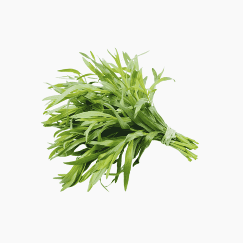 صحن حبق عضوي