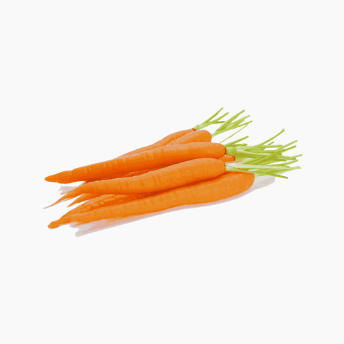 صجن جزر عضوي