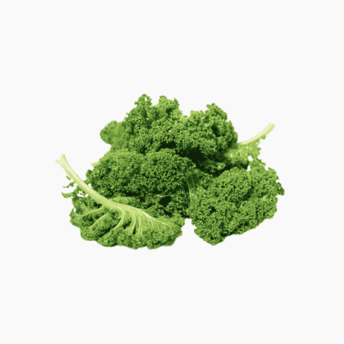 كيل عضوي مزرعة الموسى