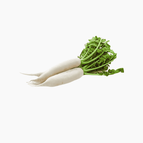 صحن فجل ابيض عضوي