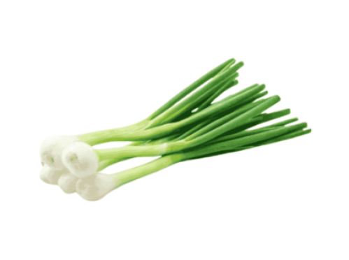 ثوم أخضر عضوي طازج - مزرعة الموسى
