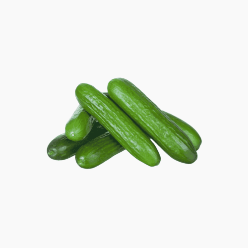 خيار عضوي 1 كجم مزرعة السلوى