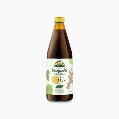 كامبوتشا لومي وزنجبيل عضوي 330مل