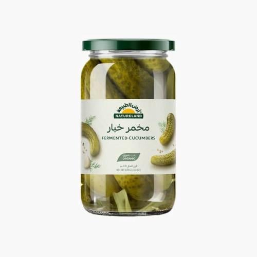 مخمر خيار عضوي 670جم