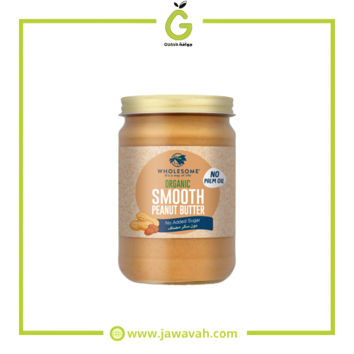 زبدة الفول السوداني الناعمة عضوي454جم هولسم