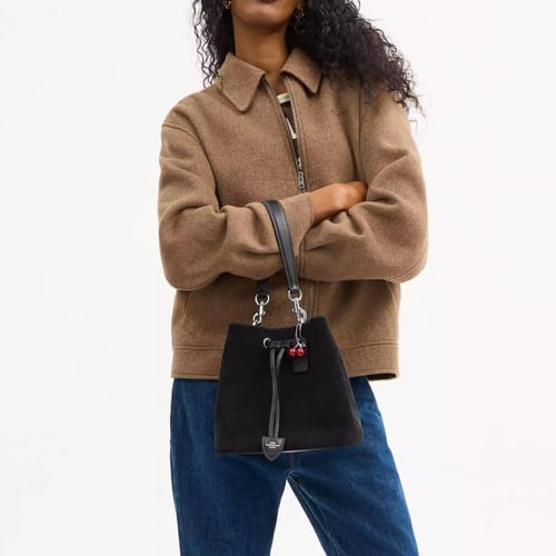 Rowan Bucket bag Coach