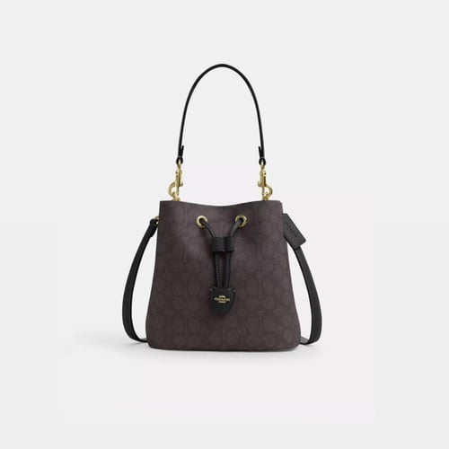 Rowan Bucket bag Coach