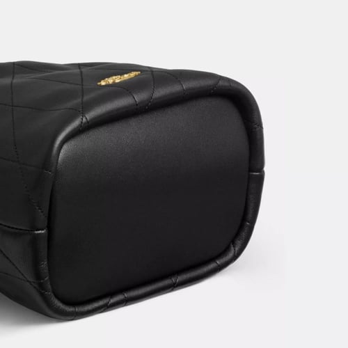 Faye Mini Drawstring Bag Coach