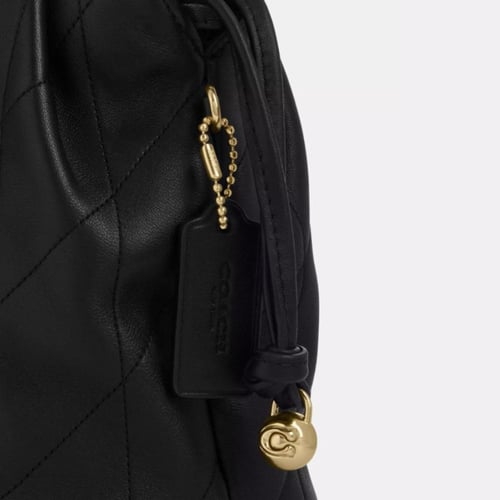 Faye Mini Drawstring Bag Coach