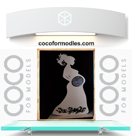 إطار صور USG -L