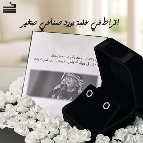 اقراط في علبة بورد صناعي