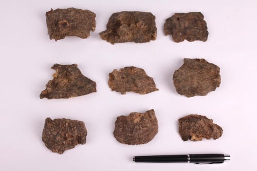 فيتنامي جار دبل سوبر