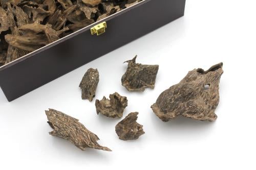 فيتنامي غابات دبل سوبر