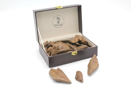 مروكي مباخر سوبر مرتفع و دبل