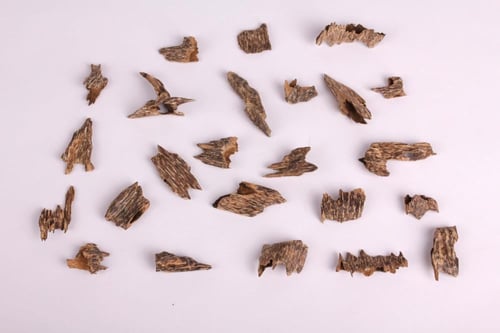 فيتنامي موري سوبر مرتفع