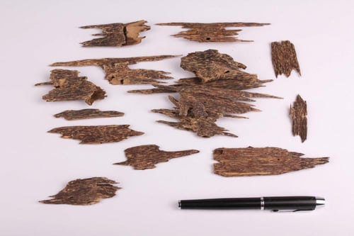 لاوسي تربل سوبر