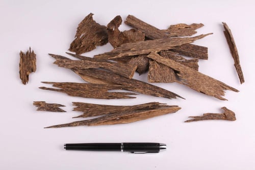 ماليزي تربل سوبر