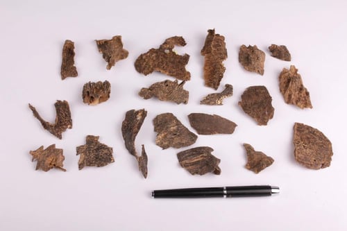 كمبودي بورسات دبل و تربل سوبر