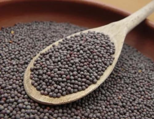 بذور الخردل