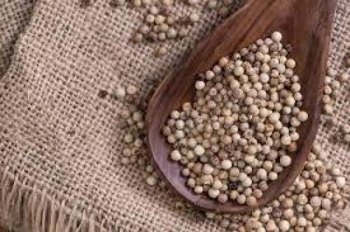 فلفل أبيض حب