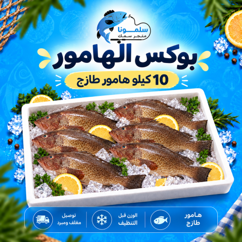 سمك الهامور 10 كيلو