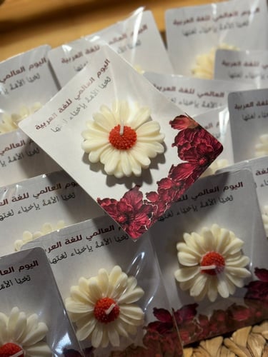 يوم اللغه العربية 12